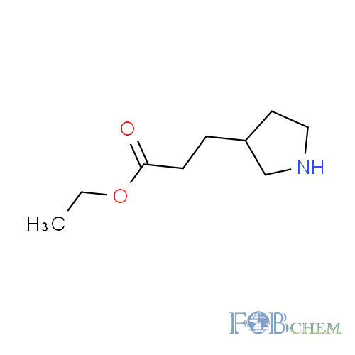 CAS NO.:748797-09-3 - ethyl 3-(pyrrolidin-3-yl)propanoate FOB CHEMICAL CO., LIMITED
